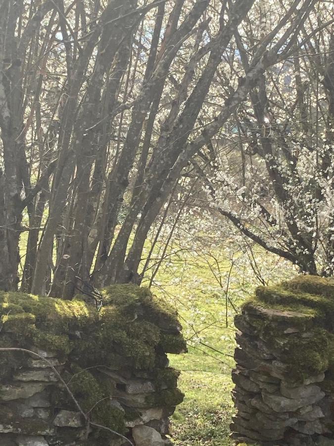 Le Jardin De Theleme "Charme Discret Pour Un Nid Douillet" Mazille Exterior foto
